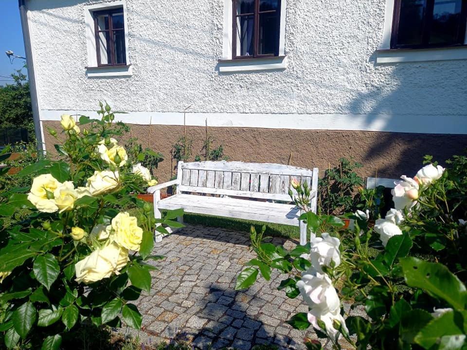 Penzion Pod Sudem Lázně Libverda Buitenkant foto