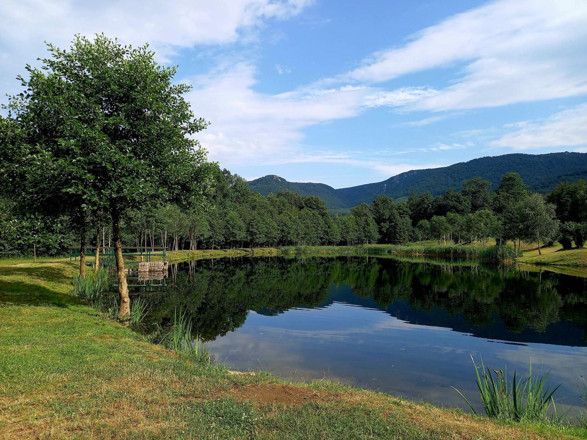 Penzion Pod Sudem Lázně Libverda Buitenkant foto